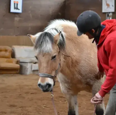 balade à cheval Daoulas-5
