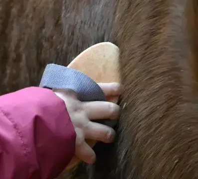 balade à cheval Guipavas-5