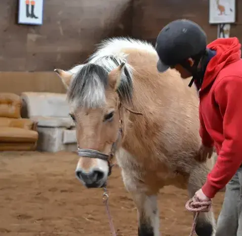 balade à cheval Sizun-1