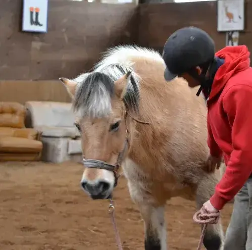 équithérapie Lesneven-1