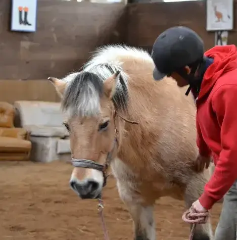 éthologie à Guipavas - image 2