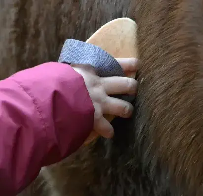 éthologie Guipavas-5