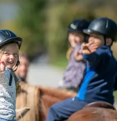 éthologie à Landerneau - image 4