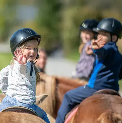 éthologie à Lesneven - image 2