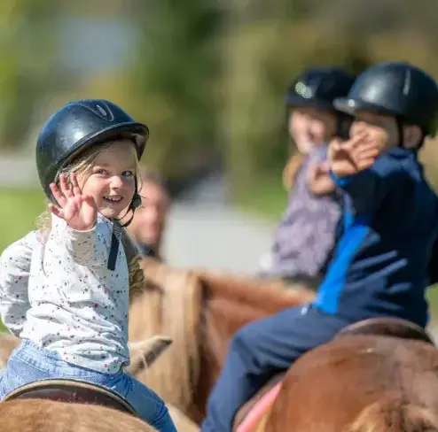 éthologie à Sizun - image 3