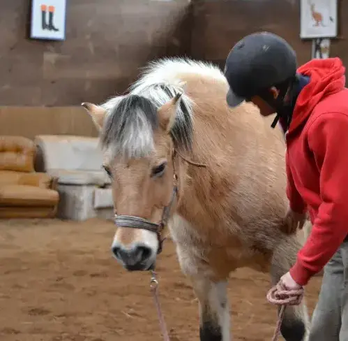 éthologie à Sizun - image 4