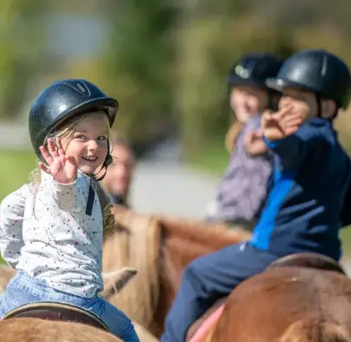 ferme équestre à Daoulas - image 3