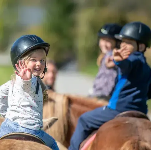 ferme équestre à Guipavas - image 2