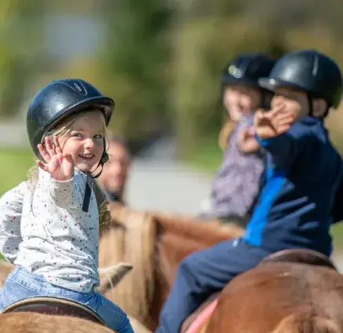 ferme équestre Landerneau-5