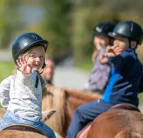 ferme équestre à Landivisiau - image 2