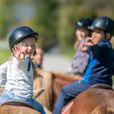 ferme équestre à Lesneven - image 3