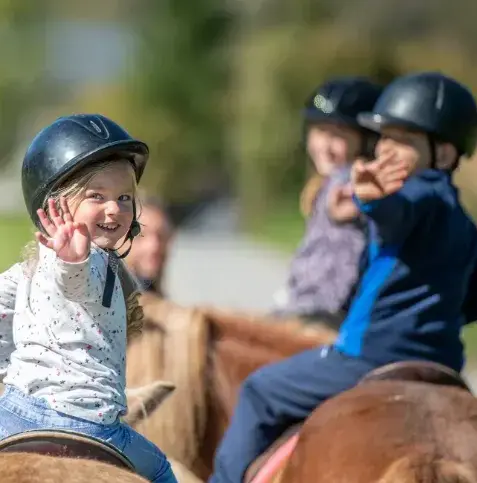 ferme équestre à Sizun - image 3