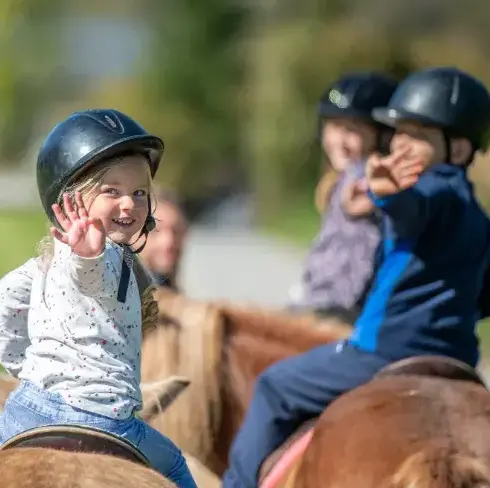 pension chevaux Daoulas-5