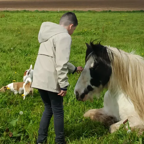 pension chevaux dirinon