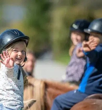 pension chevaux à Guipavas - image 2