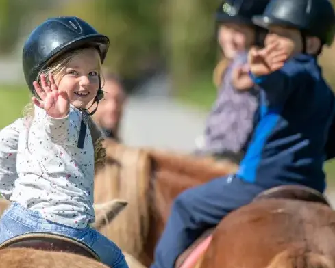 pension chevaux à Landerneau - image 3