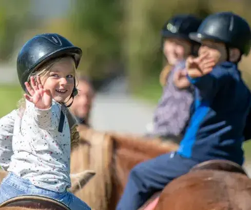 pension chevaux Landivisiau-1