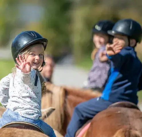 pension chevaux Lesneven-5